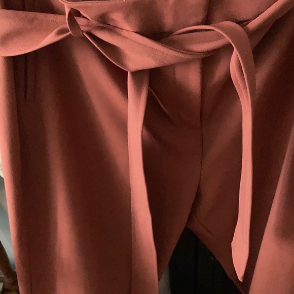 Halogen (Nordstrom) size 18 rust pant - Picture 5 of 11